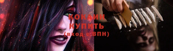 МДПВ Лиски
