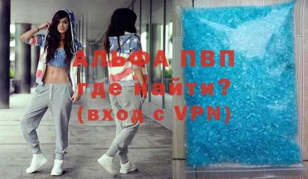 мдпв Порхов